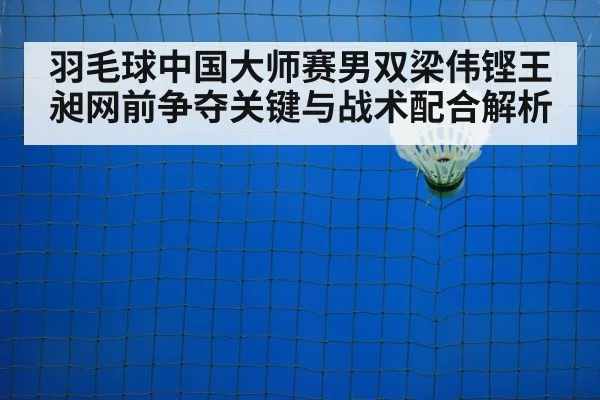 badminton net shot