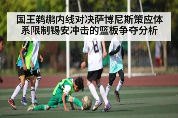 国王鹈鹕内线对决萨博尼斯策应体系限制锡安冲击的篮板争夺分析 - OD